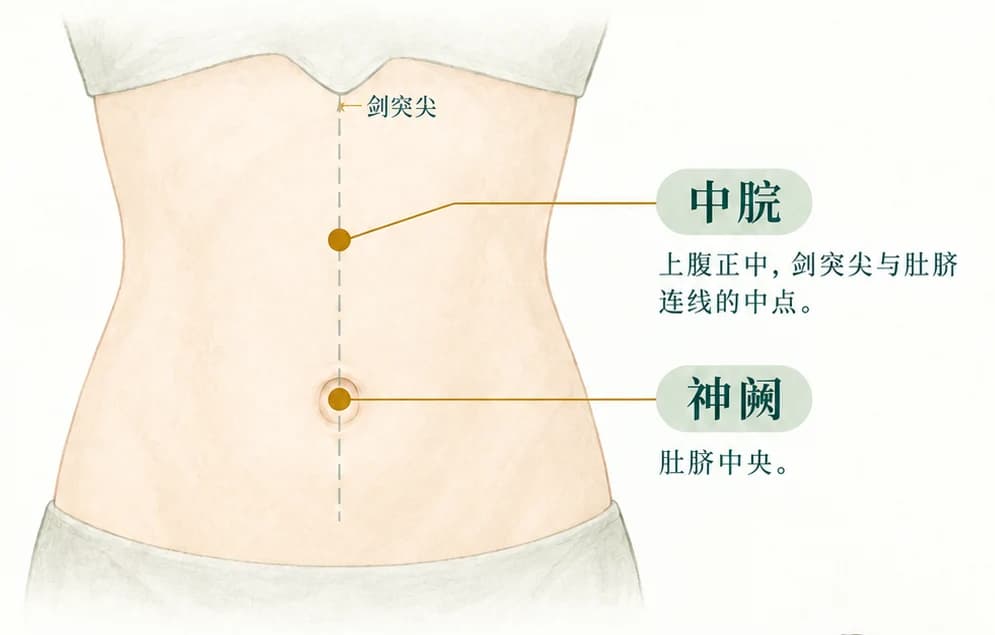 腹部穴位图：神阙与中脘的位置